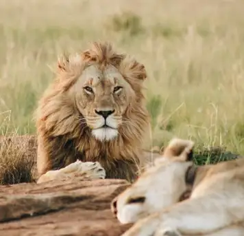 Image related to Emperor Valley Zoo