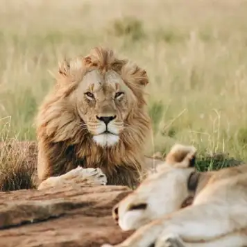 Image related to Image related to Emperor Valley Zoo