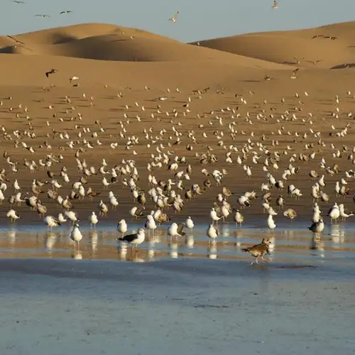 Image related to Agadir Bird Valley