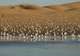 Agadir Bird Valley