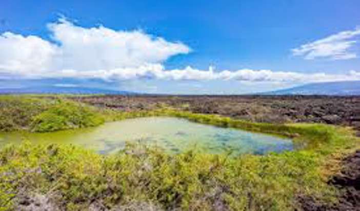 Punta Moreno, Isabela Island