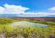 Punta Moreno, Isabela Island