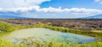 Image related to Punta Moreno, Isabela Island