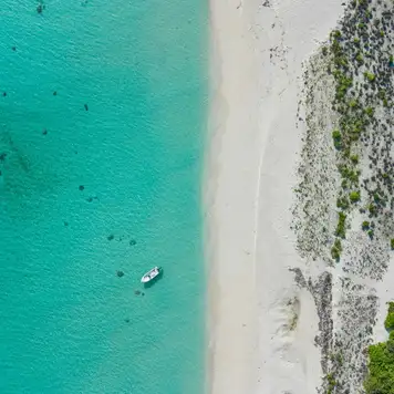 Image related to Boat Trip to Sandy Island