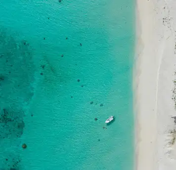 Boat Trip to Sandy Island