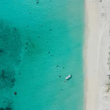 Image related to Boat Trip to Sandy Island