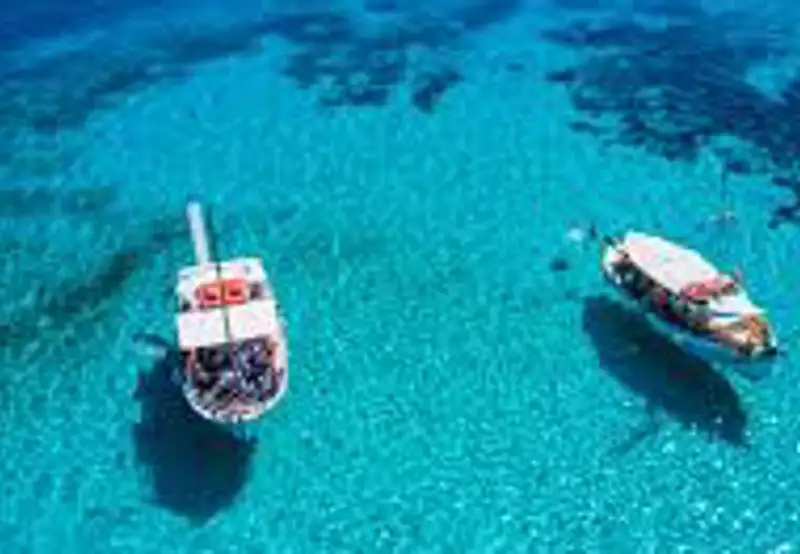 Island Hop the Auri Chain