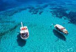 IgluCruise.Application.ViewModels.Shared.WebImageViewModel?.Description