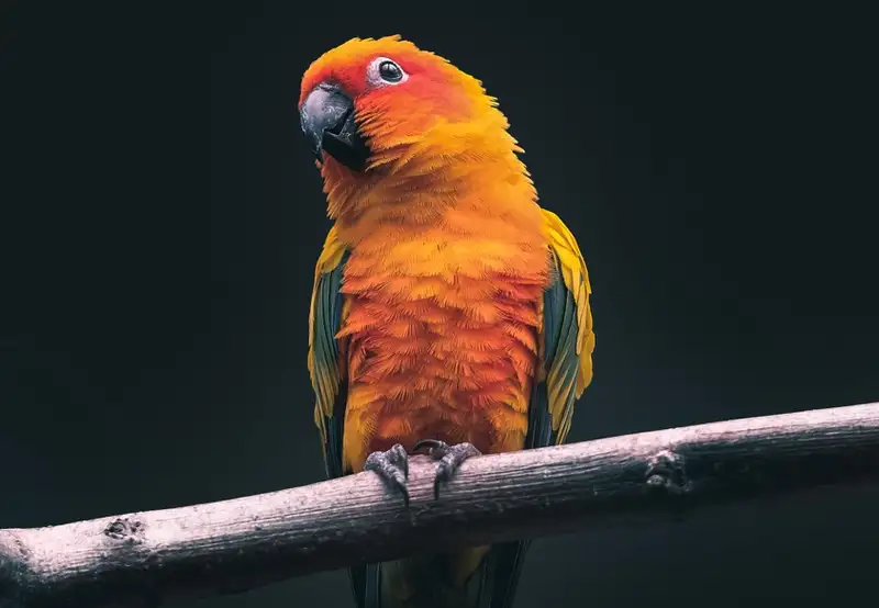  River Bird Park 