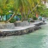 Image related to Stroll the Belmont Walkway