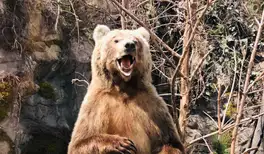 Image related to Image related to Skagway Museum