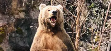 Image related to Image related to Skagway Museum