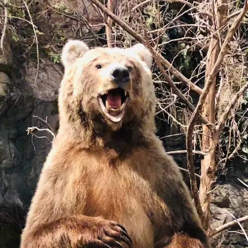 Image related to Image related to Skagway Museum