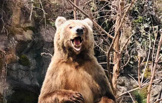 Image related to Skagway Museum