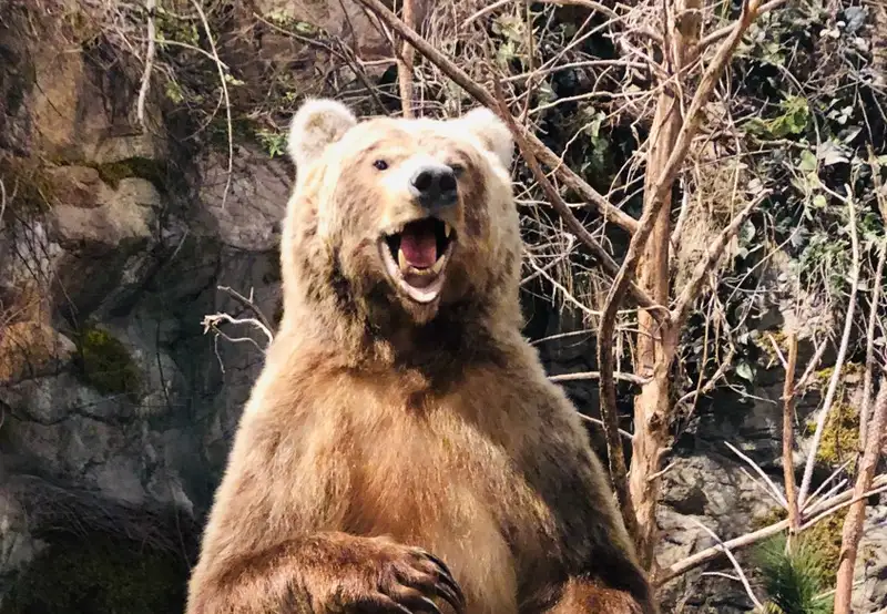 Image related to Skagway Museum