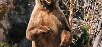 Image related to Image related to Skagway Museum