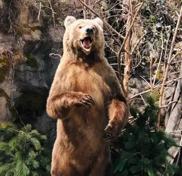 Image related to Skagway Museum