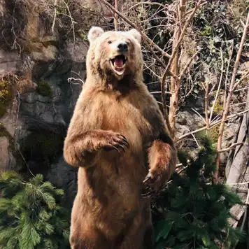 Image related to Skagway Museum