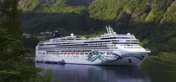 Image related to norwegian jade