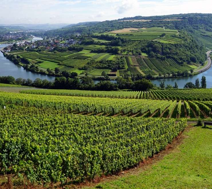Moselle - Cruising