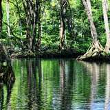 Image related to Mangrove kayaking