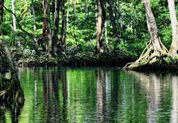 IgluCruise.Application.ViewModels.Shared.WebImageViewModel?.Description