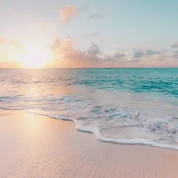 Image related to  Doctor's Cave Beach