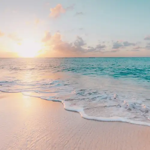 Image related to  Doctor's Cave Beach
