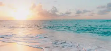 Image related to  Doctor's Cave Beach