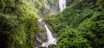 Image related to Image related to Serra da Bocaina National Park