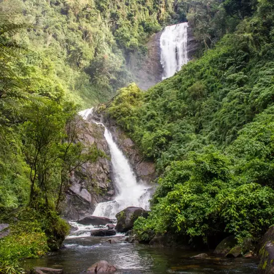 Image related to Serra da Bocaina National Park