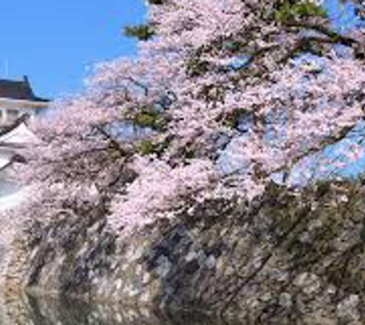 Toyama Castle Park