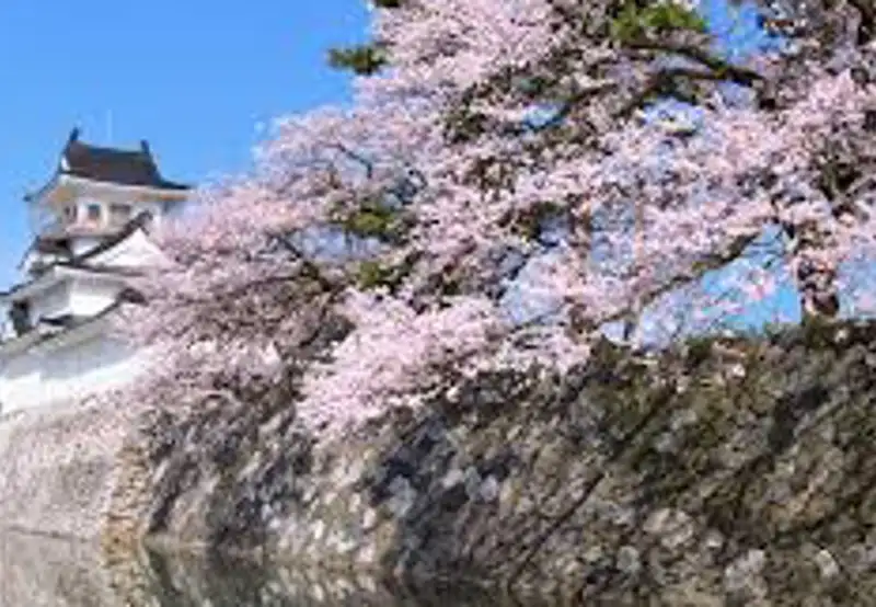 Toyama Castle Park