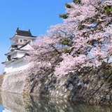 Image related to Toyama Castle Park