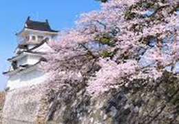 IgluCruise.Application.ViewModels.Shared.WebImageViewModel?.Description