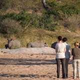 Image related to Nature Walks