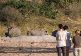 IgluCruise.Application.ViewModels.Shared.WebImageViewModel?.Description