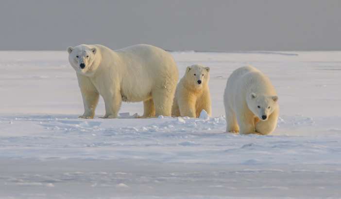 Geographic North Pole