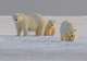 Geographic North Pole