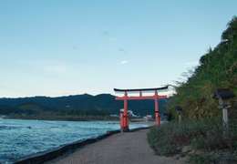 IgluCruise.Application.ViewModels.Shared.WebImageViewModel?.Description