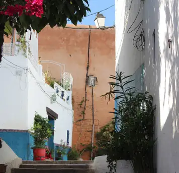 Image related to Image related to Medina