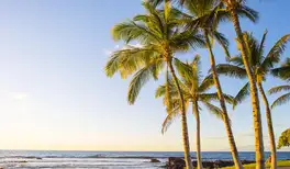 Image related to Kona, Hawaii