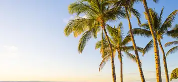Image related to Kona, Hawaii