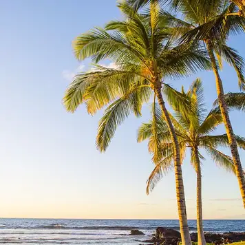 Image related to Kona, Hawaii