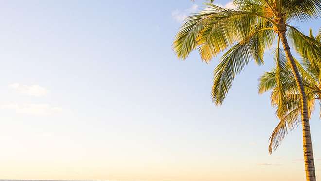 Kona (Hawaii)