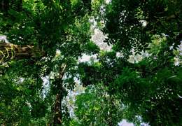 IgluCruise.Application.ViewModels.Shared.WebImageViewModel?.Description