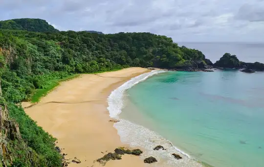 Image related to Amami Oshima