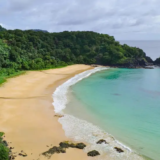 Image related to Amami Oshima