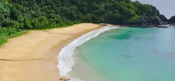 Image related to Amami Oshima