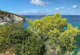 IgluCruise.Application.ViewModels.Shared.WebImageViewModel?.Description